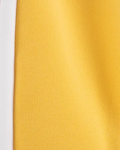 ELISABETTA FRANCHI Giacca Giallo